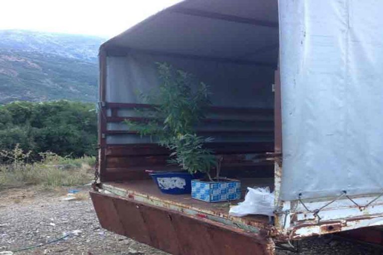 Καλλιεργούσε ναρκωτικά  σε εγκαταλελειμμένο φορτηγό