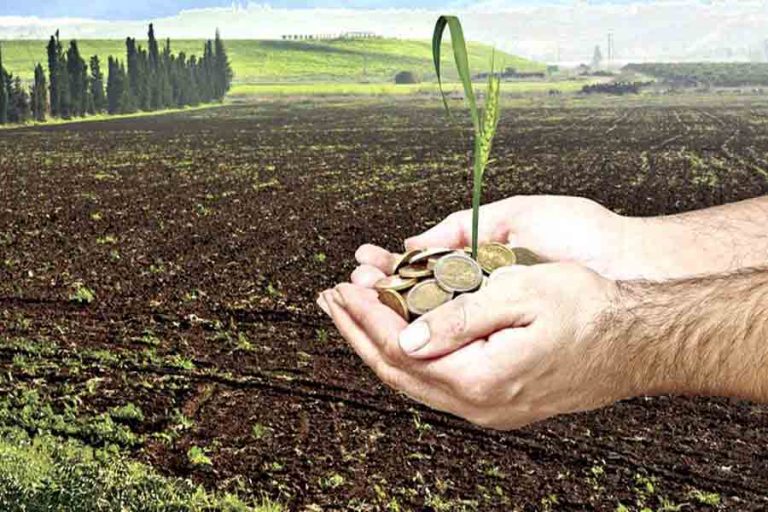 Αιτωλοακαρνανία: 7 εκ. σε 509 νέους αγρότες