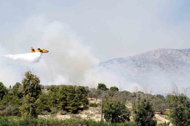 Aπαγόρευση κυκλοφορίας για αποφυγή δασικών πυρκαγιών