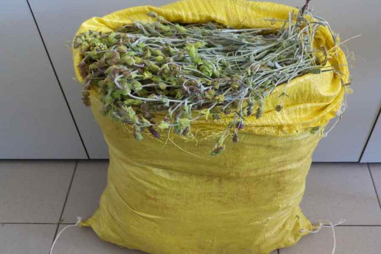 Αλβανικό δίκτυο μεταφοράς & πώλησής τσαγιού στην ελληνοαλαβανική μεθόριο