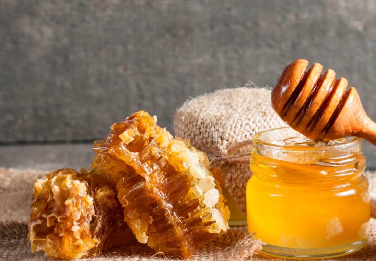 Τριήμερα προγράμματα  μελισσοκομίας στο Μεσολόγγι