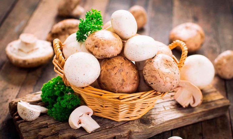 Σε άνοδο η καλλιέργεια  μανιταριών στην Ελλάδα