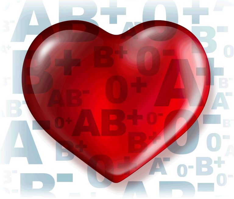 Από την Αλεξανδρούπολη ως την Αθήνα: Ποδηλατοδρομία  για την εθελοντική αιμοδοσία