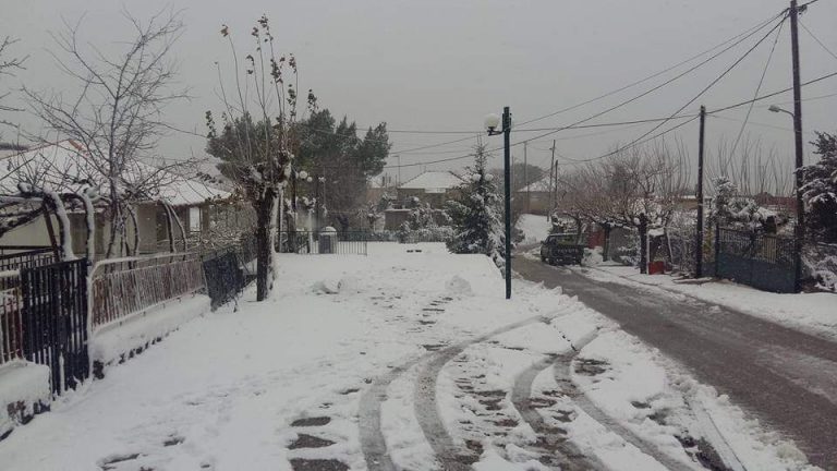 Ο Δήμος Ναυπακτίας για το επεισόδιο σε βάρος υπαλλήλου του