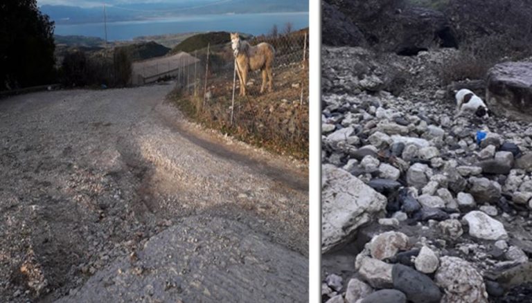 Θύρρειο Βόνιτσας: Σε απόγνωση αγρότες & κτηνοτρόφοι από τις βροχοπτώσεις – Ζητούν να παρέμβει η Περιφέρεια