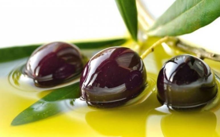 olives, exports, Western Greece